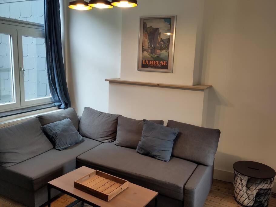 Le Mosan Apartment Dinant Exterior photo